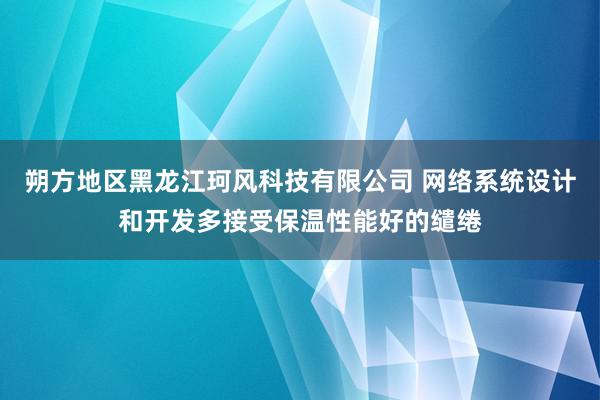 朔方地区黑龙江珂风科技有限公司 网络系统设计和开发多接受保温性能好的缱绻