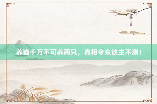 养猫千万不可养两只,真相令东谈主不测!